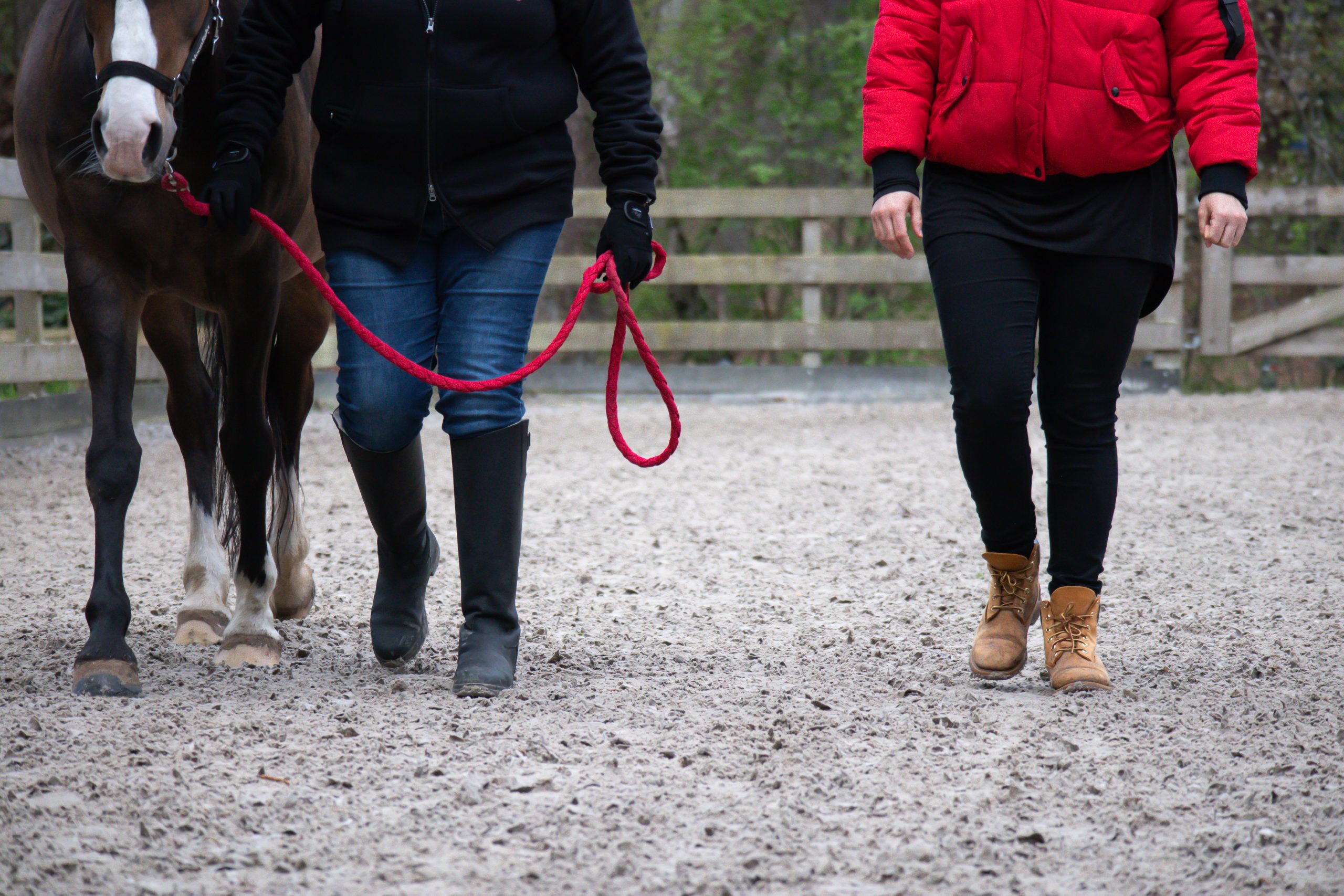 Paardencoaching