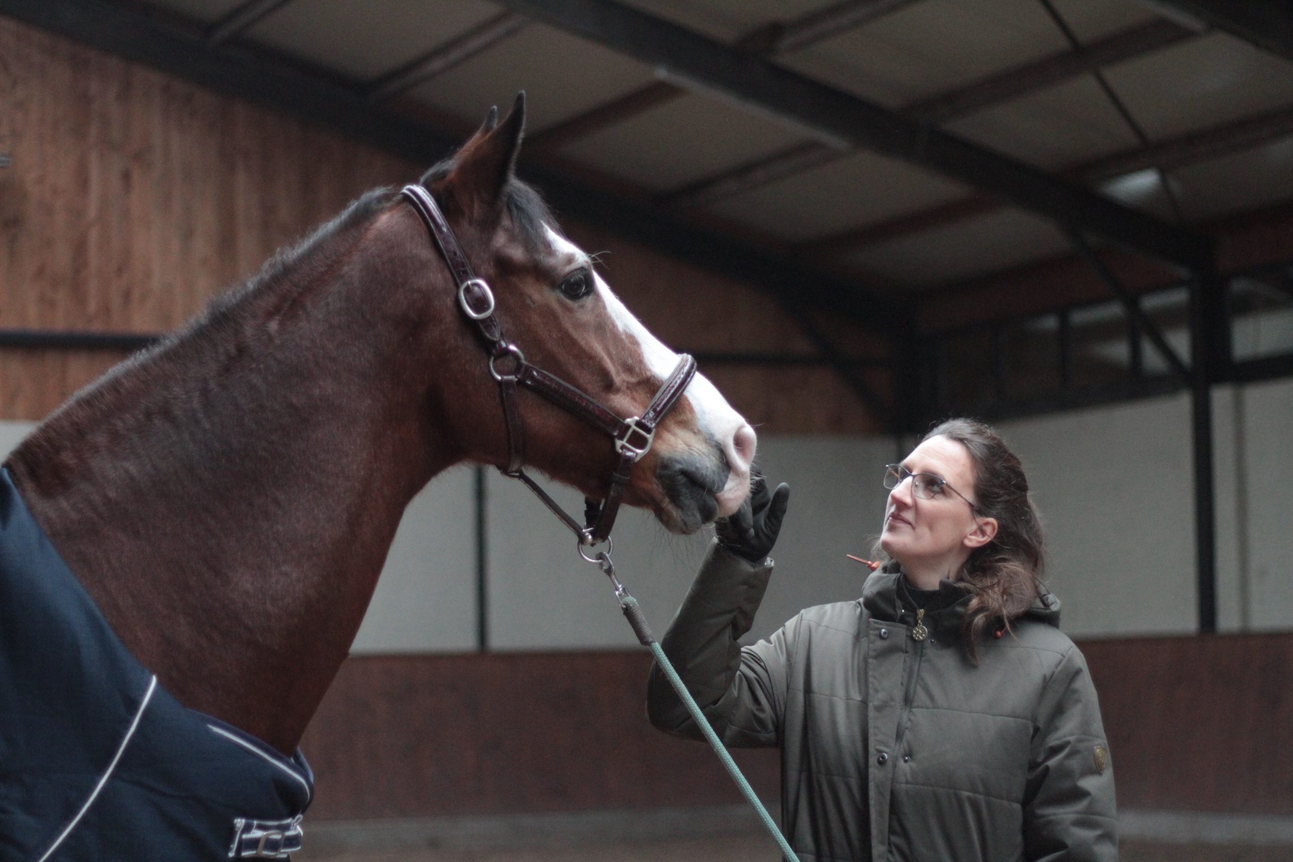 paardencoaching met kinderen3