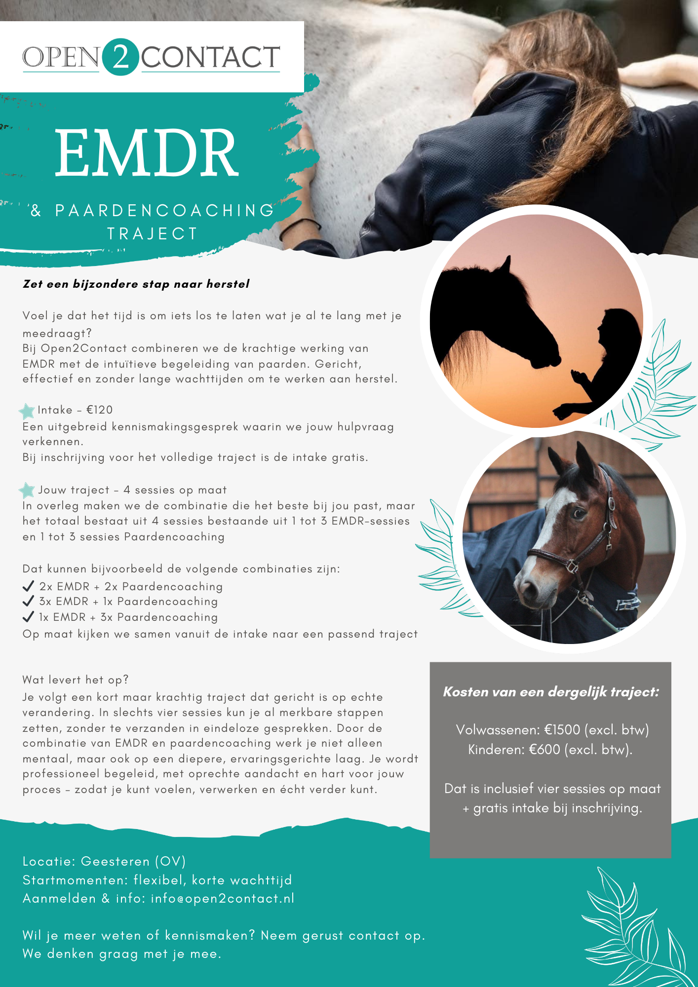 Flyer EMDR & Paardencoaching traject