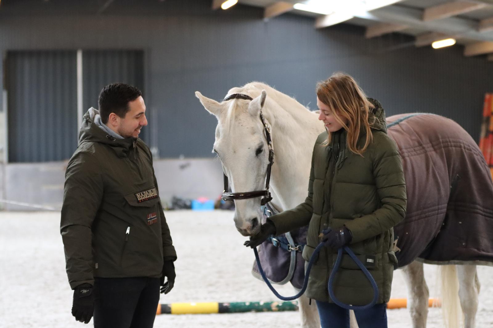 Paardencoaching