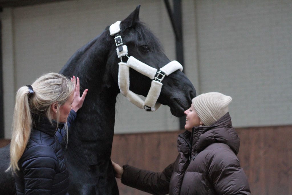 f00324c7 0854 4428 acac bdd938f3bc94