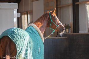 dv kerstmarkt o2c 0190